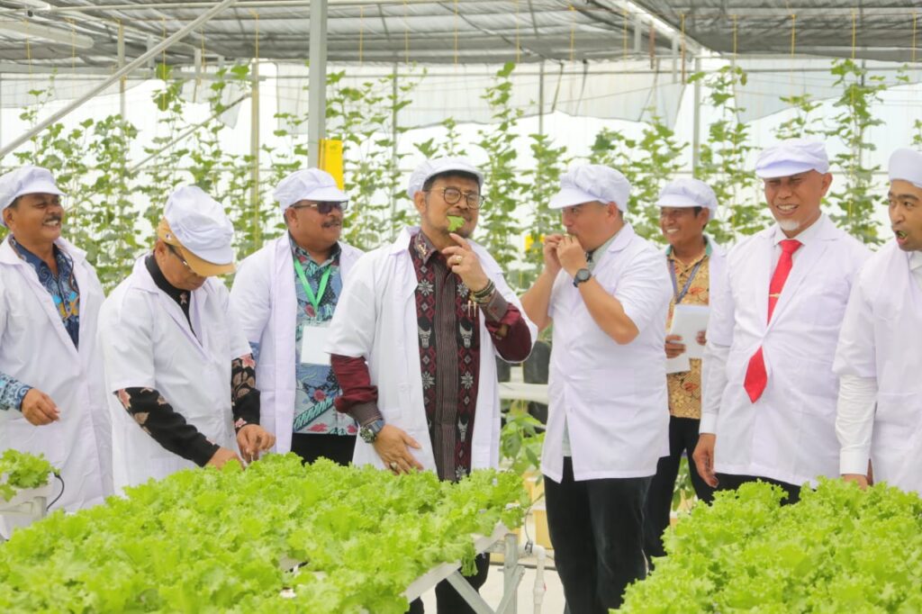 Smart Greenhouse Ramah Lingkungan, Tanaman Jadi Sehat